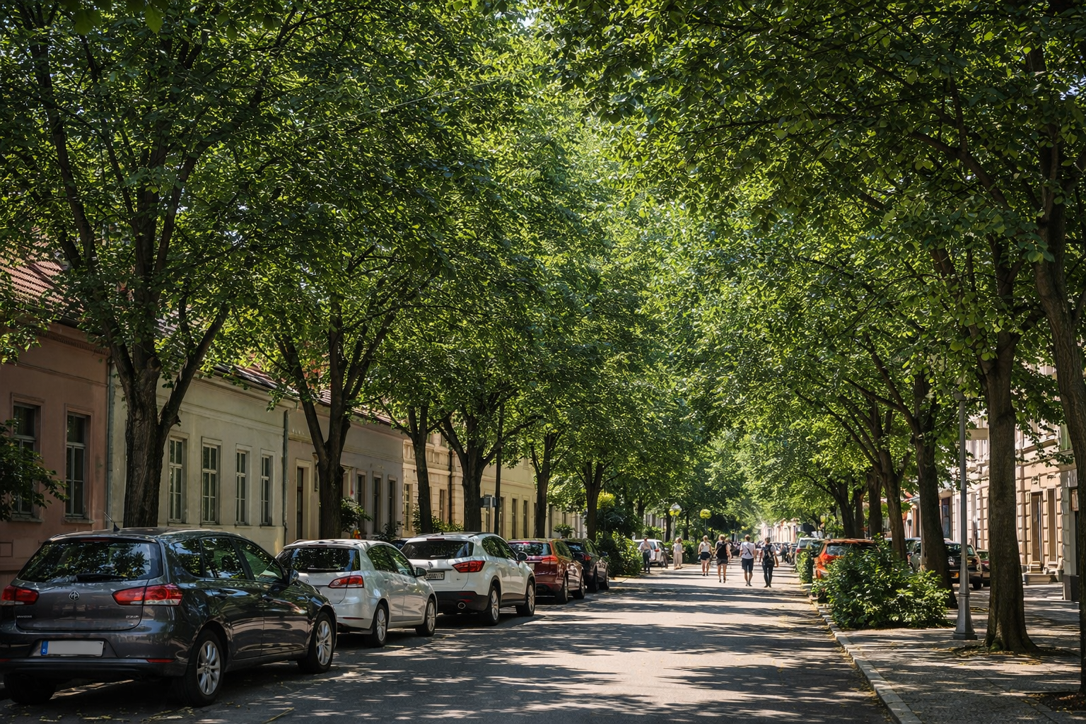 Arbori foioși în grădină